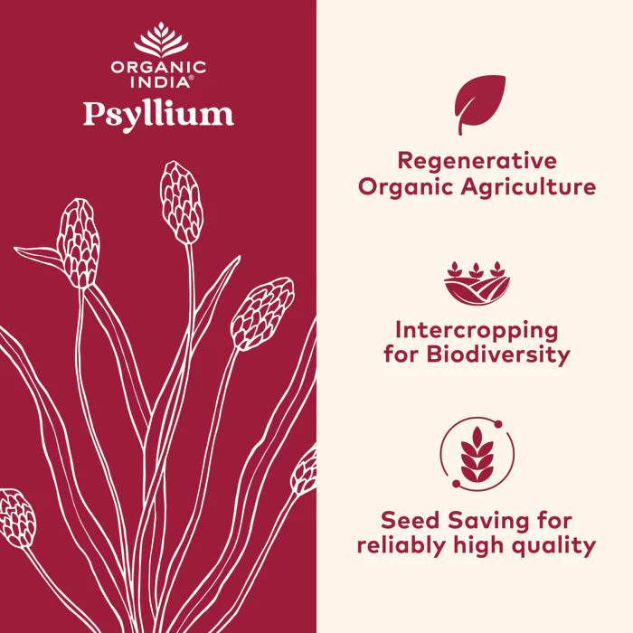 Psyllium Whole Husk Fiber