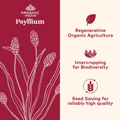 Psyllium Whole Husk Fiber